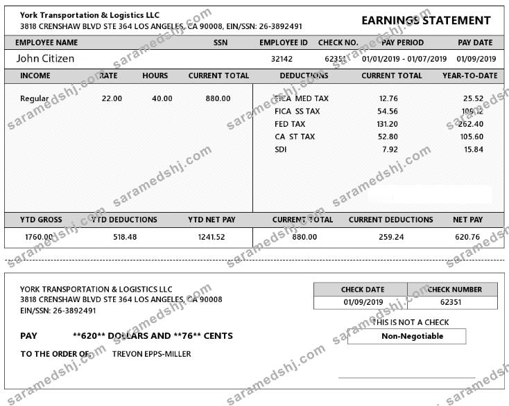 USA YORK Transportation & Logistics LLC earning statement in Word and PDF formats